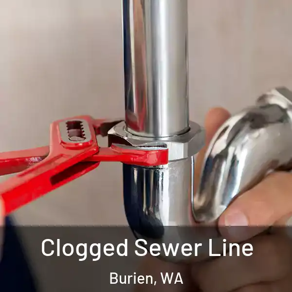  Clogged Sewer Line Burien, WA