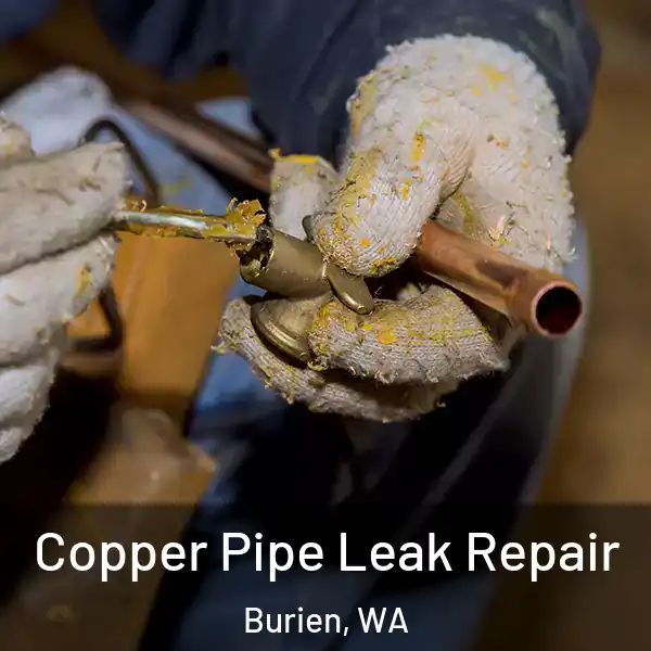  Copper Pipe Leak Repair Burien, WA