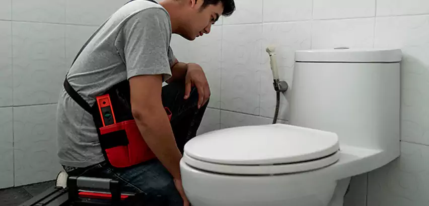 Toilet Repair in Burien