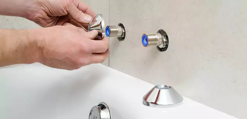 Bathtub Faucet Diverter Replacement in Burien