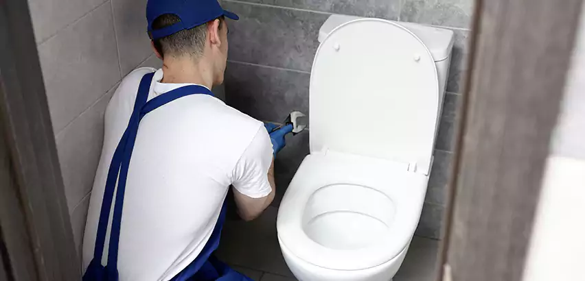 Toilet Lid Replacement in Burien