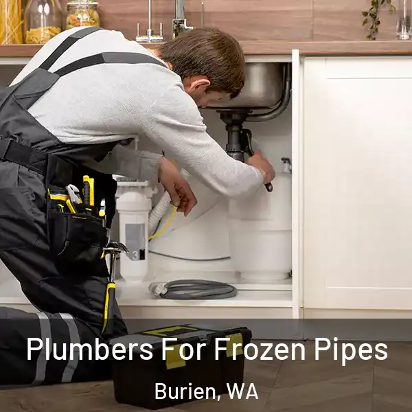  Plumbers For Frozen Pipes Burien, WA