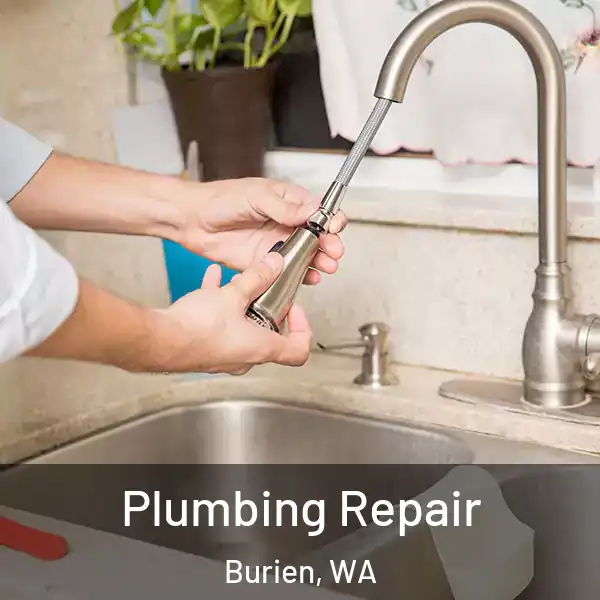  Plumbing Repair Burien, WA