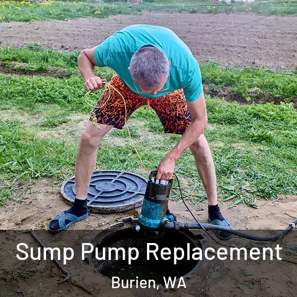  Sump Pump Replacement Burien, WA