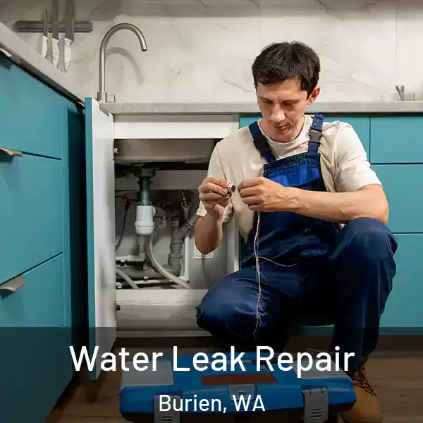  Water Leak Repair Burien, WA